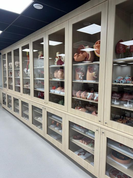 Laboratório com armários de vidro